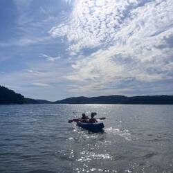 Row row row your boat