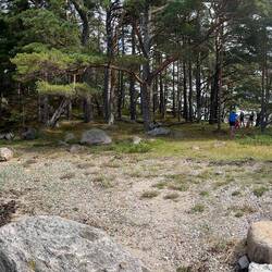The lunch island