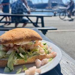 Und in Skagen das bislang beste Krabbenbrötchen meines Lebens
