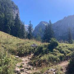 Ein Blick zurück