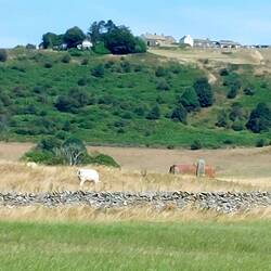 En route to Eyam; you can just see the Barrel Inn at Bretton at the top