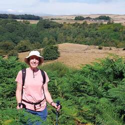 View over to Abneylow