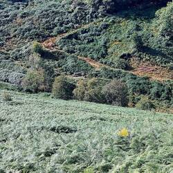 View down to Bretton Clough