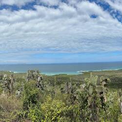 View from the lookout above the Wall of Tears