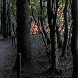 dem Sonnenuntergang entgegen