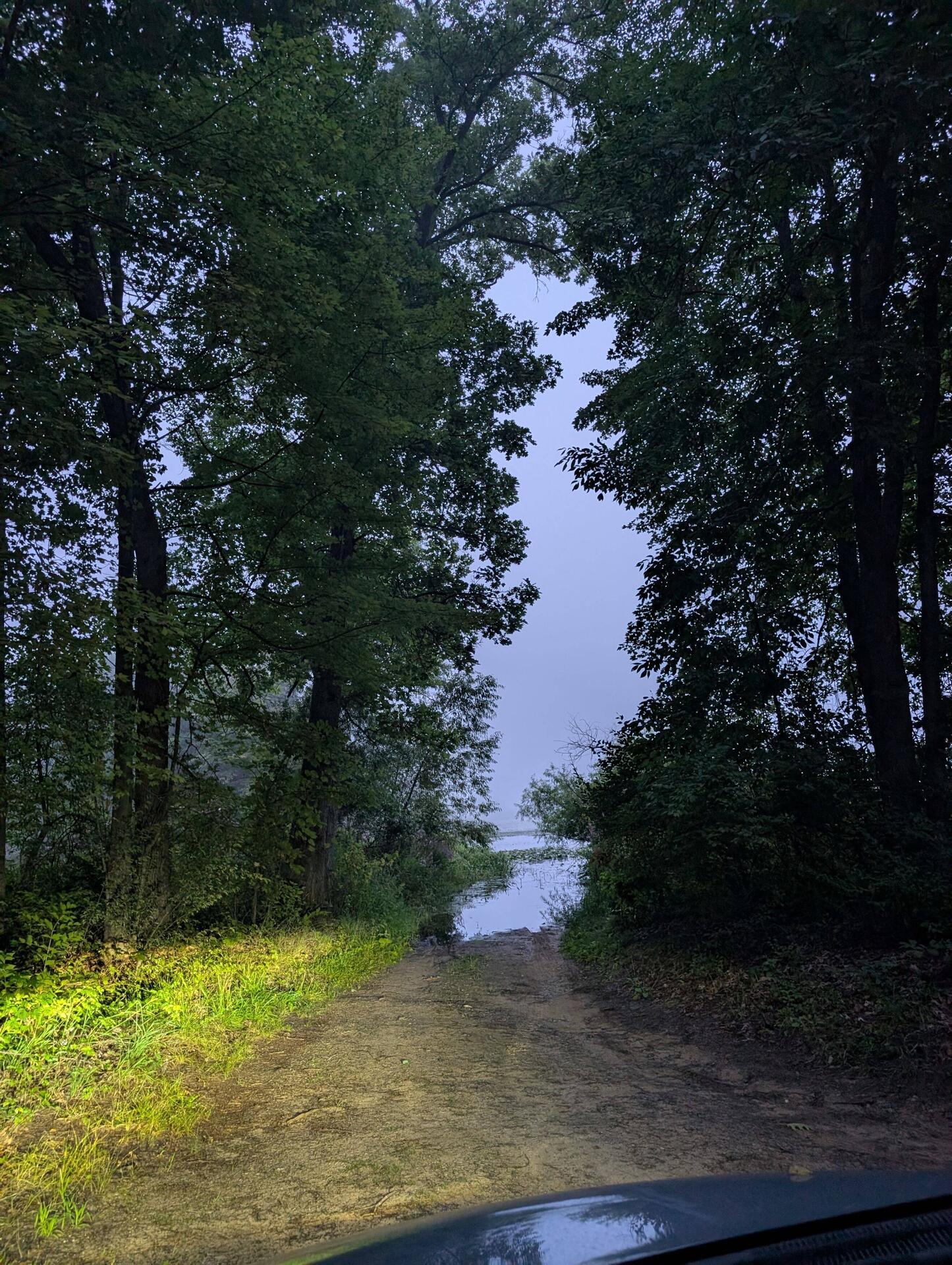 This is where the bog chupacabra and 4 billion mosquitoes live