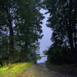 This is where the bog chupacabra and 4 billion mosquitoes live