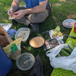 Roadside picnic with Andrew's homemade baba ghanoush, hummus, and our garden vegetables
