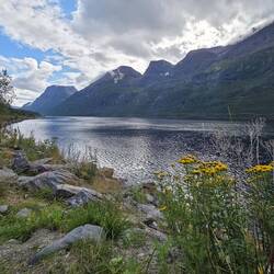 Also die Landschaft hier am Fjord haut uns schon wieder um