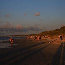 Volksfest Stimmung zur Sonnenfinsternis