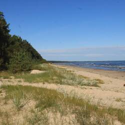 Am Meer Richtung Kap