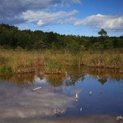 Kemeri Nationalpark