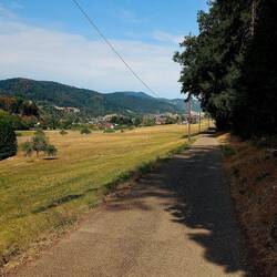 Weg von Hofstetten nach Haslach