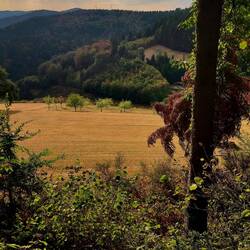 Tolles Licht