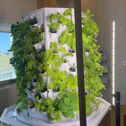 Hydroponic garden in the Canadian High-Arctic Research Center.