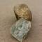 Stones - something the arctic has plentiful.