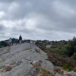 Pano