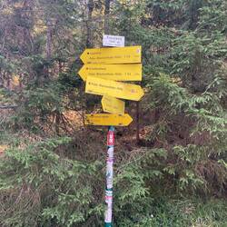 Am Kreuzweg auf 1345 m