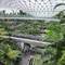 Singapore airport