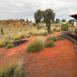 Camp 2 lookout on the sand dune, amenities block on the right
