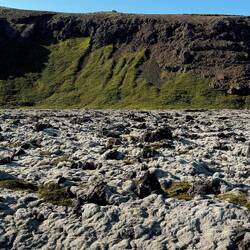 Lava aus lange zurückliegenden Ausbrüchen, inzwischen mit Moos und Flechten überzogen