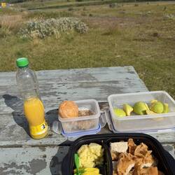Picknick mit Wiener Schnitzel und Kartoffelsalat