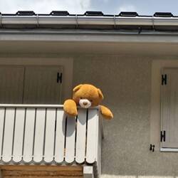 Val-Cenis: Teddy darf gucken