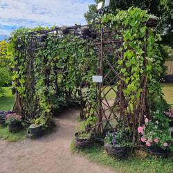 Secret-Garden