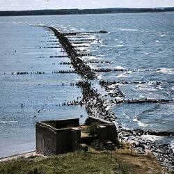 Blick vom Leuchtturm auf die Mole Ruden