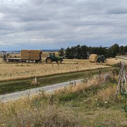 Loading up the hay in the neighbours paddock