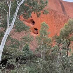The Anangu have stories about how all the marks on the rock came to be