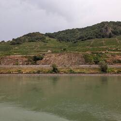 the terraced vineyards along the Danube River in the UNESCO-listed Wachau Valley of Lower Austria.