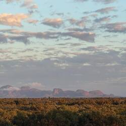Kata Tjuṯa in the morning light