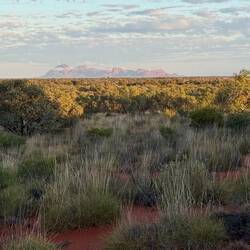 And again. I liked Kata Tjuṯa more than Uluru