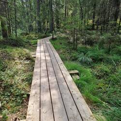 Neuer Weg...