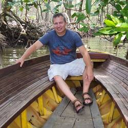 In the mangrove
