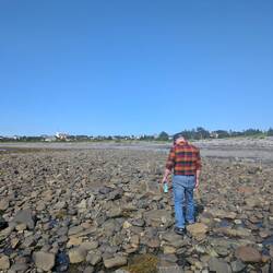 That's a NICE rock