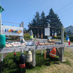 The lobsterman also carves and paints the buoys