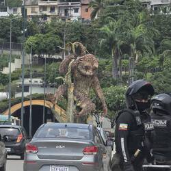 El mono Machin. Autoctono de la fauna silvestre de Guayaquil