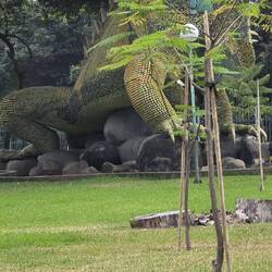 La iguana