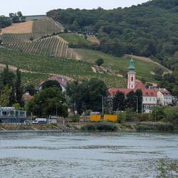 A Monestary and their vineyards