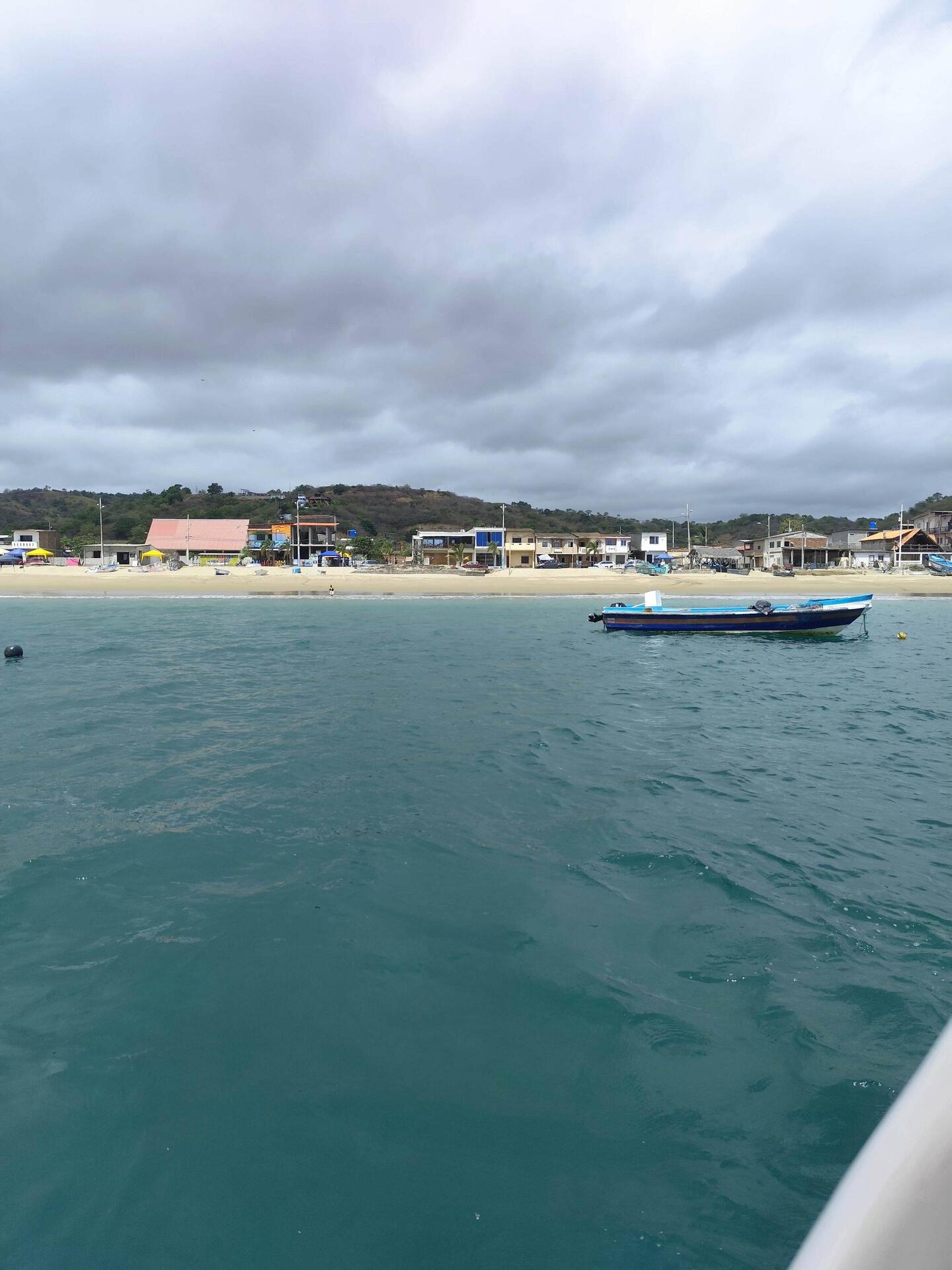 On the way to watch the whales ...