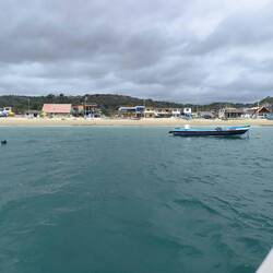 On the way to watch the whales ...