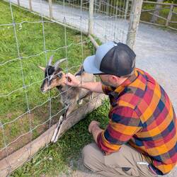 Canadians love to have a few goats around apparently