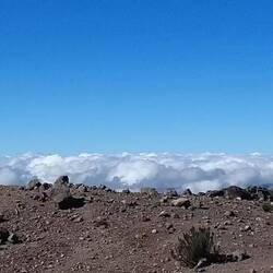 Aussicht vom Refugio Carrell