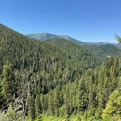 How many trestles do you see?