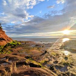 Golden hour on the seabed