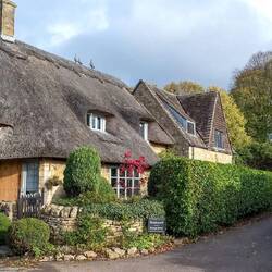 Thatched cottage