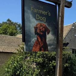 At the Farmers Dog Pub