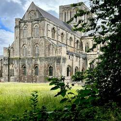 Winchester cathedral
